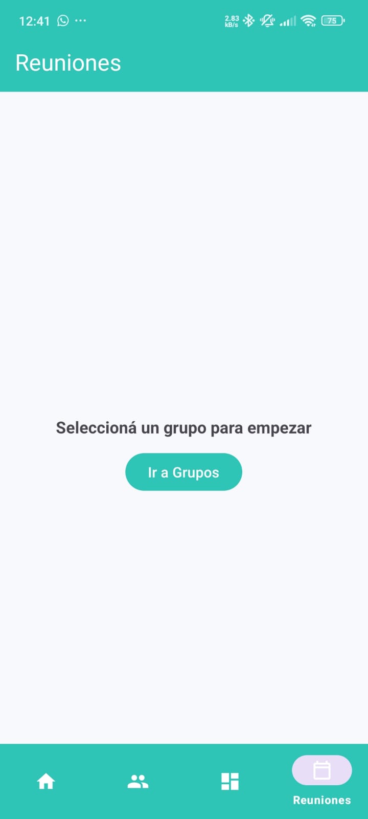 Resumen del grupo